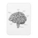 Recherche de scientifiques magnets Psychologie