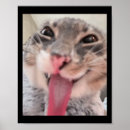 Recherche de délirantes posters Bizarre