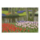 Recherche de holland posters European