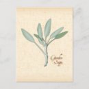 Recherche de action cartes postales Nourriture