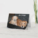 Recherche de valises vœux cartes Chien