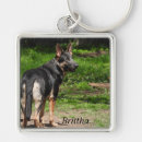 Recherche de gsd porteclés Animal