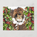 Recherche de écureuil de noël cartes postales Nature