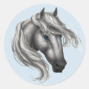 Recherche de tachetez Cheval