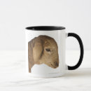 Recherche de agneau mignon tasses Moutons