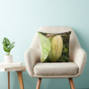 Recherche de ingrédient coussins Plante