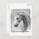 Recherche de tête de chevaux cartes postales Équine