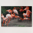 Recherche de flamingo puzzles Nature