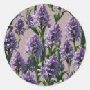 Recherche de hyacinthe autocollants Floral