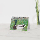 Recherche de étang de canard vœux cartes Pour tous