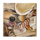 Recherche de coquille de mer carreaux Coquillages