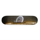 Recherche de ufo skateboards Alien