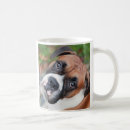 Recherche de race pure tasses Canin