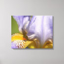 Recherche de purple iris posters Nature