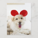 Recherche de oreilles cartes postales Animaux