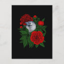 Recherche de bouquet cartes postales Pivoine