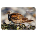 Recherche de rude magnets Nature