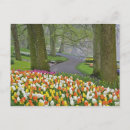 Recherche de keukenhof cartes postales Culture