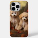 Recherche de caniche iphone coques Animal de compagnie
