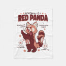 Recherche de panda rouge Anatomie