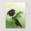 Recherche de curieux cartes postales Nature