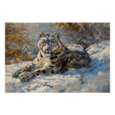 Recherche de léopard neige posters Chat