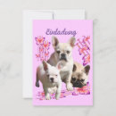 Recherche de bouledogue francais invitations Pour tous