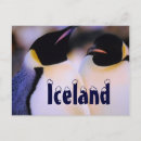 Recherche de pingouin arctique cartes postales Hiver
