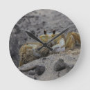 Recherche de de crabe horloges Sable