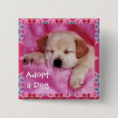 Recherche de adopté accessoires Animaux domestiques