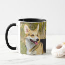 Recherche de chien de troupeau tasses Animal