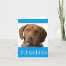 Recherche de chocolat labrador retriever vœux cartes Chiot