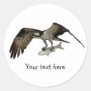 Recherche de chasse oiseau autocollants Oiseau de proie