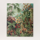 Recherche de nature puzzles Illustration