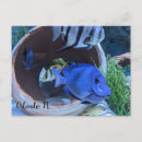 Recherche de salutations floride cartes postales Nature