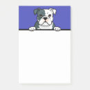 Recherche de american bulldogs posters Mignon