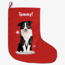 Recherche de colley chaussette de noël Animaux familiers
