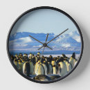 Recherche de colonnes horloges Photographie