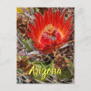 Recherche de sonora cartes postales Nature