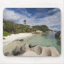 Recherche de les seychelles tapis souris Océan indien