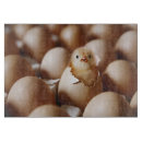 Recherche de animaux planches à découper Poulet