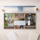 Recherche de chien 3 Moderne