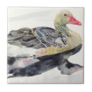 Recherche de canards carreaux Illustration