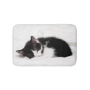 Recherche de chaton photographie Sommeil