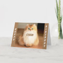Recherche de oeil du chat s Pour eux