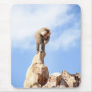 Recherche de babouin tapis souris Singe