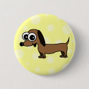 Recherche de teckel badges Chiot