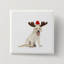 Recherche de coupe circuit badges Animaux
