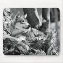 Recherche de loup bois construction tapis souris Sauvage
