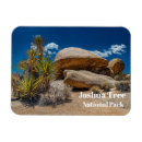Recherche de plante magnets Voyage